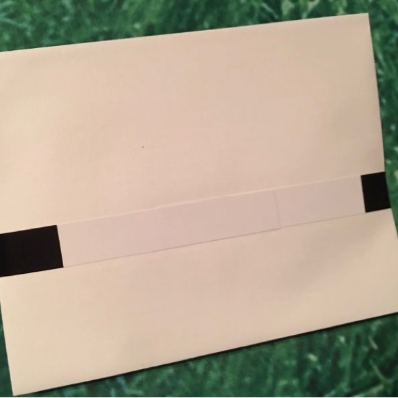 Sullivan Gifts Office Cynthia Dunn Art Note Cards Lot Of 2 Packages